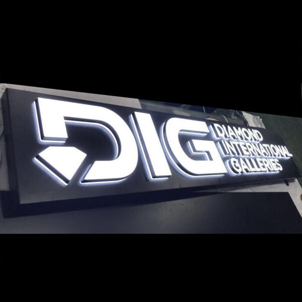 Dual-Lit Acrylic LED Channel Letters for Commercial Brand Displays