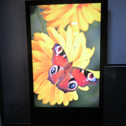 Slim Freestanding LED Billboard Light Box for Outdoor Advertising Displays Slim Freestanding LED Billboard Light Box for Outdoor Advertising Displays